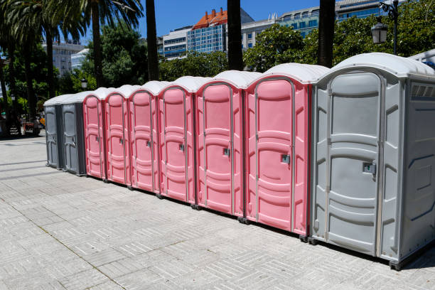 Best Short-Term Portable Toilet Rental  in Pleasant Grove, AL